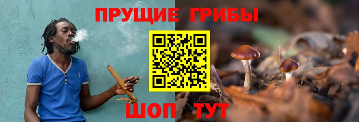 Новоалександровск  Галлюциногенные грибы мухоморы  Вход с VPN 