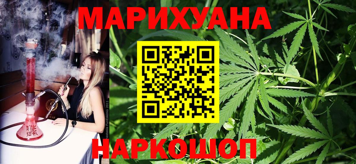 МАРИХУАНА сатива Новоалександровск